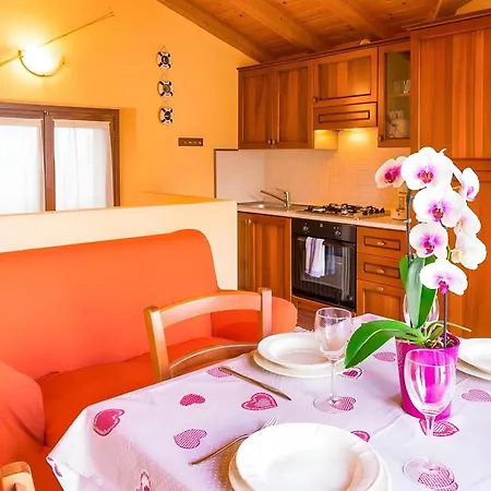 Rustico Di Pianello Naturstein-ferienhaus Am Ferienhaus